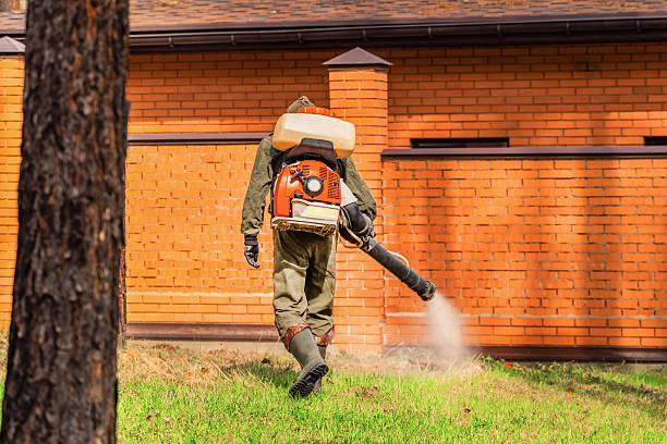 Trusted Ant Control service in Mancelona, MI - Nex Pest Control